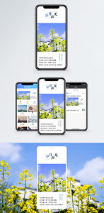 心情日签手机海报配图图片
