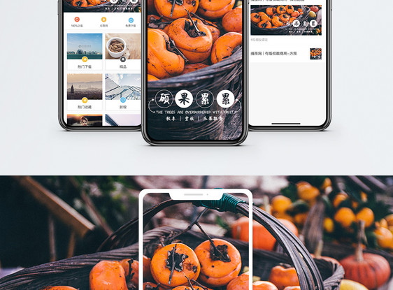 硕果累累手机海报配图图片