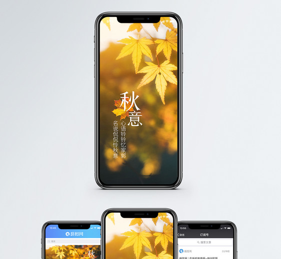 秋意秋季枫叶手机海报配图图片