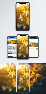 秋意秋季枫叶手机海报配图图片