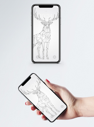 动物线条手机壁纸图片