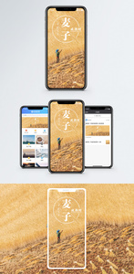 麦子成熟时手机海报配图图片