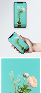花卉手机壁纸图片