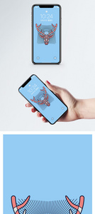哺乳动物手机壁纸图片
