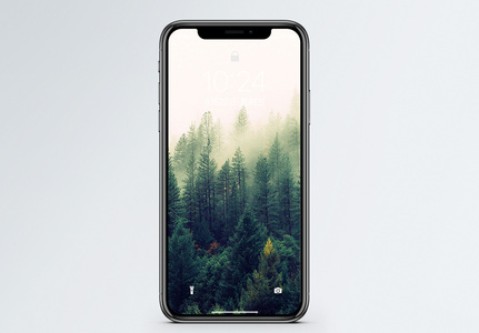创意森林手机壁纸高清图片