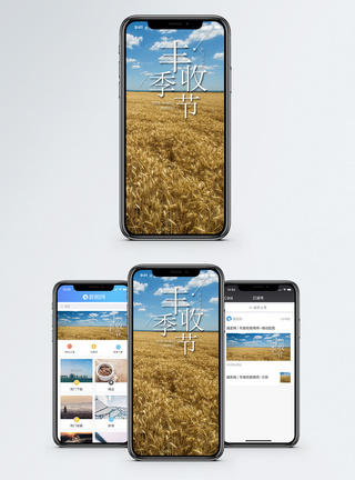 丰收季节手机海报配图图片