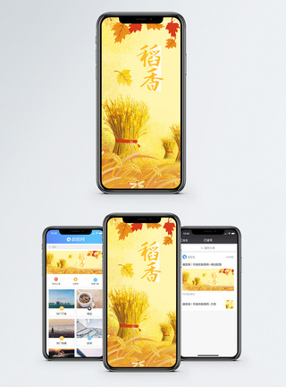秋天硕果稻香手机海报配图模板