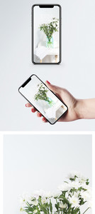 白色野菊花手机壁纸图片