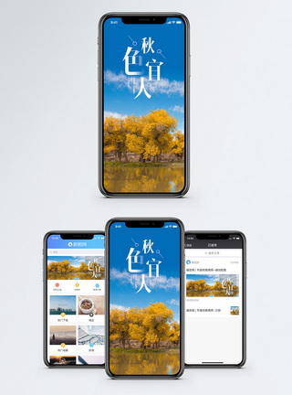 秋景秋色宜人手机海报配图模板