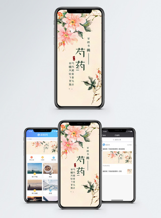 国画手机海报配图模板