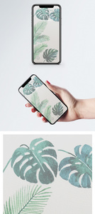 植物背景手机壁纸图片