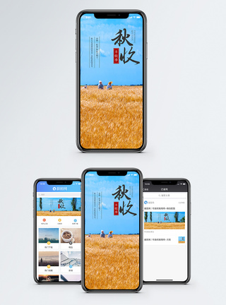 水稻秋收手机海报配图模板