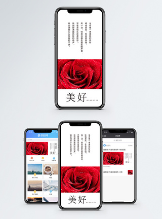 美好祝福手机海报配图图片