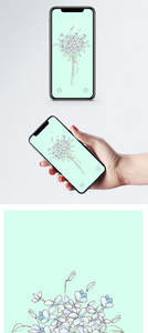 小清新手机壁纸图片