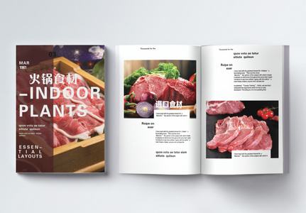 牛肉美食画册整套图片