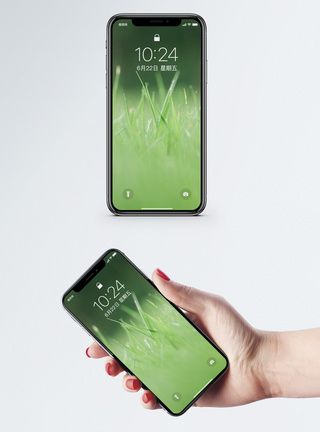视觉绿色的草手机壁纸模板