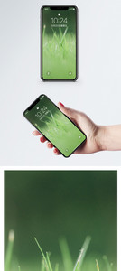 绿色的草手机壁纸图片