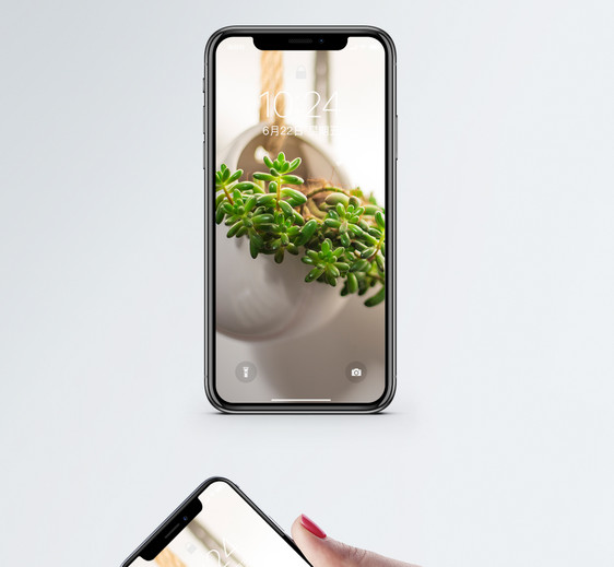 植物绿色手机壁纸图片