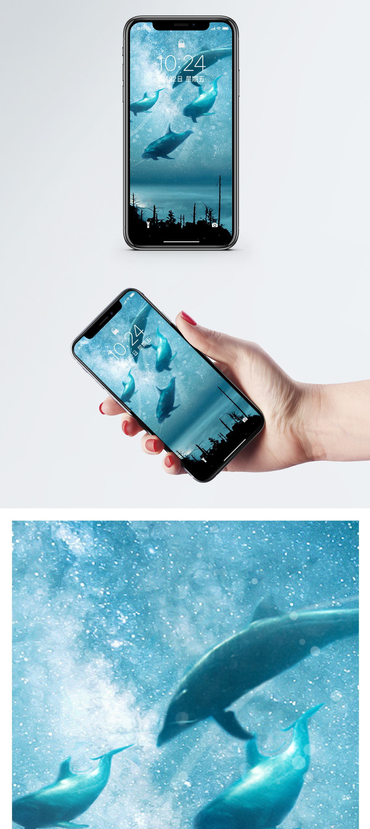 星空海豚手机壁纸图片素材