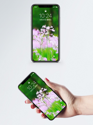 风景花卉手机壁纸图片