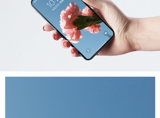 康乃馨手机壁纸图片