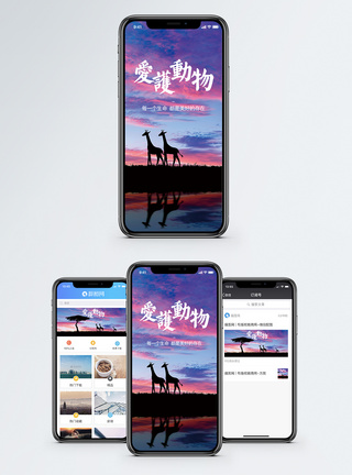 爱护动物手机海报配图图片