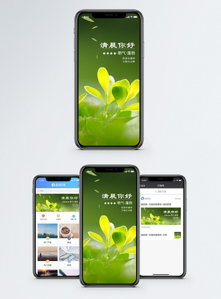 绿叶清晨你好手机海报配图模板