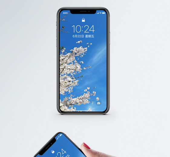 樱花与蓝天手机壁纸图片