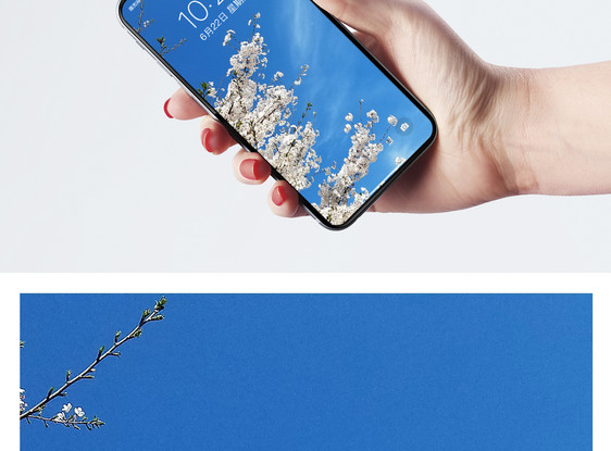 樱花与蓝天手机壁纸图片