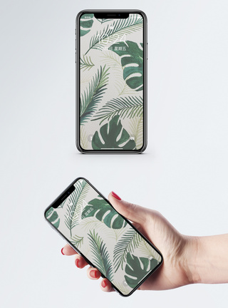 热带植物背景手机壁纸图片
