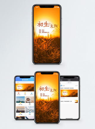 朝阳背景初升的太阳手机海报配图模板
