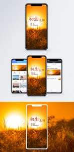 初升的太阳手机海报配图图片