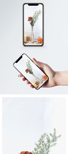 花瓶手机壁纸图片