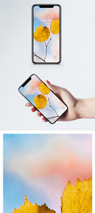 一叶知秋手机壁纸图片