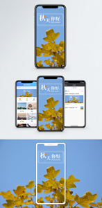 你好秋天手机海报配图图片