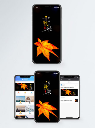 枫叶夏去秋来手机配图海报模板