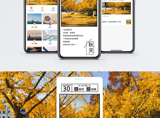 你好秋天手机海报配图图片