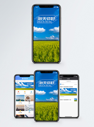 秋天稻谷秋天手机海报配图模板