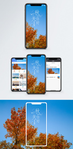 秋天手机海报配图图片