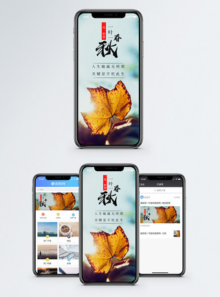 叶片一叶一春秋手机海报配图模板