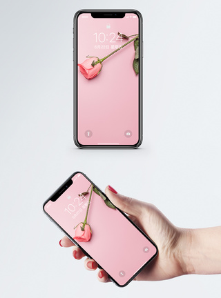 粉红玫瑰花瓣玫瑰花手机壁纸模板
