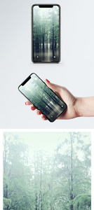 山水森林手机壁纸图片