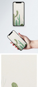 治愈植物背景手机壁纸图片