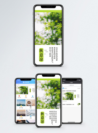 秋凉手机海报配图图片