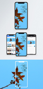 一叶知秋手机海报配图图片