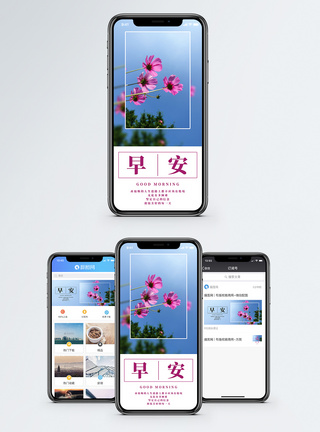波斯菊早安你好手机海报配图模板