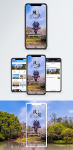 不一样的风景手机海报配图图片