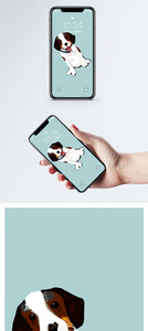 黑白狗狗手机壁纸图片