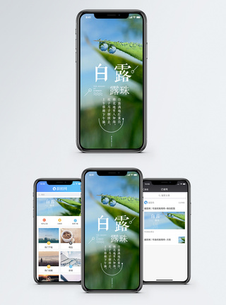 白露手机海报配图图片