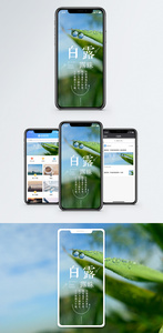 白露手机海报配图图片